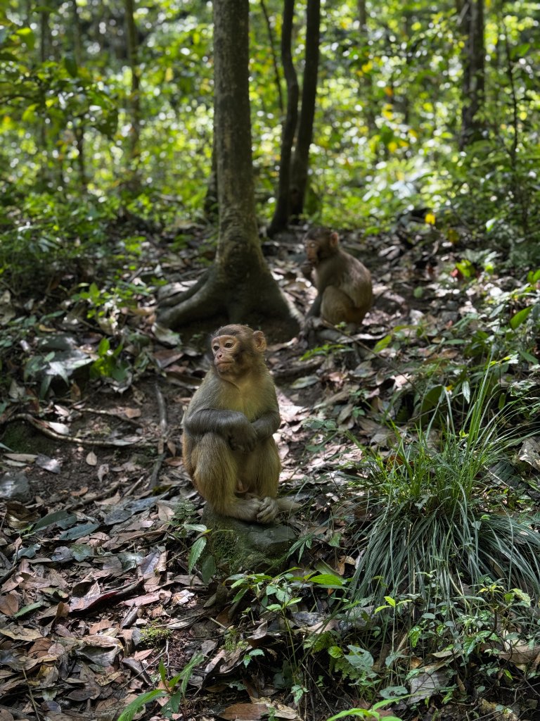 Zhangjiajie Nationalpark Tag 2