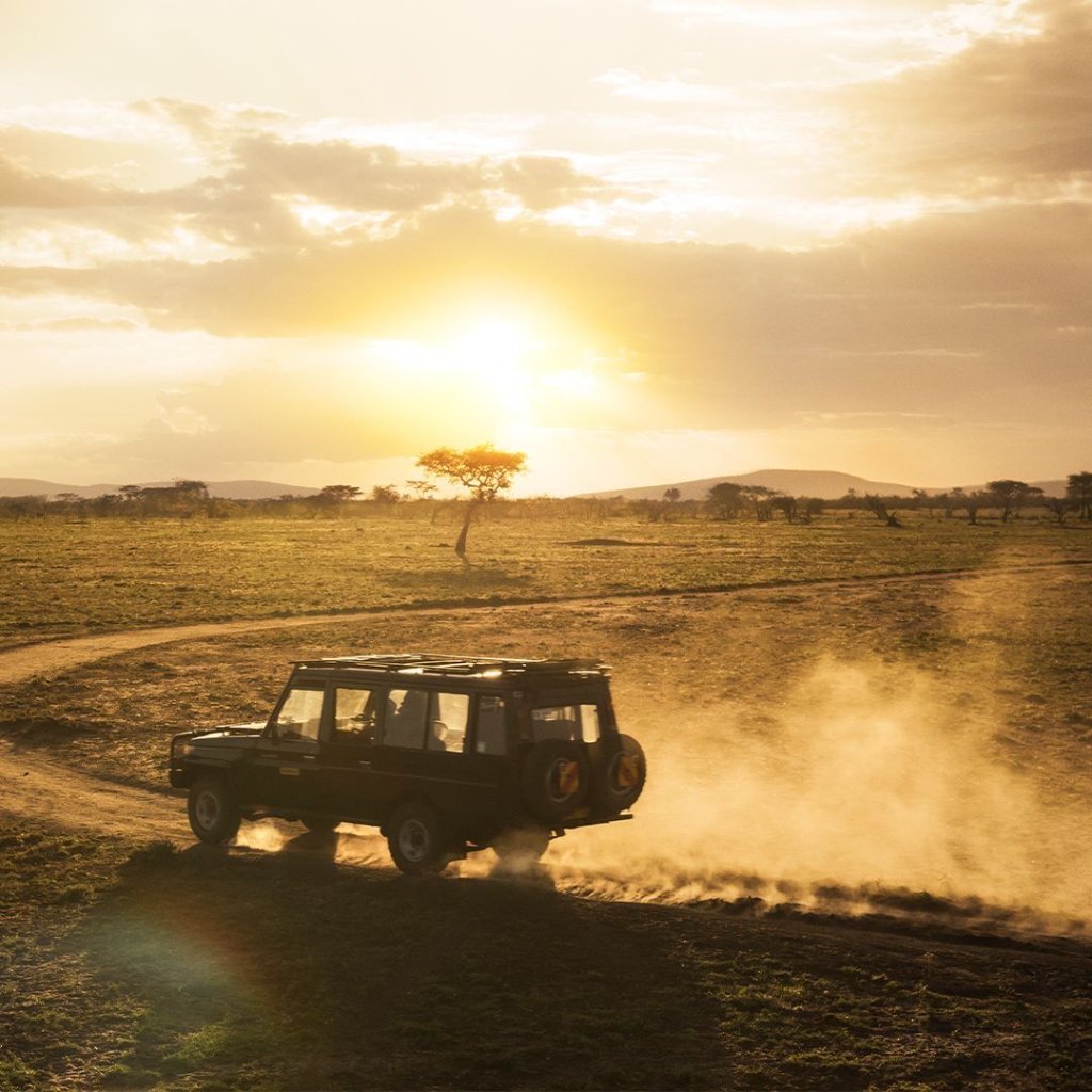 Kilimandscharo & Safari